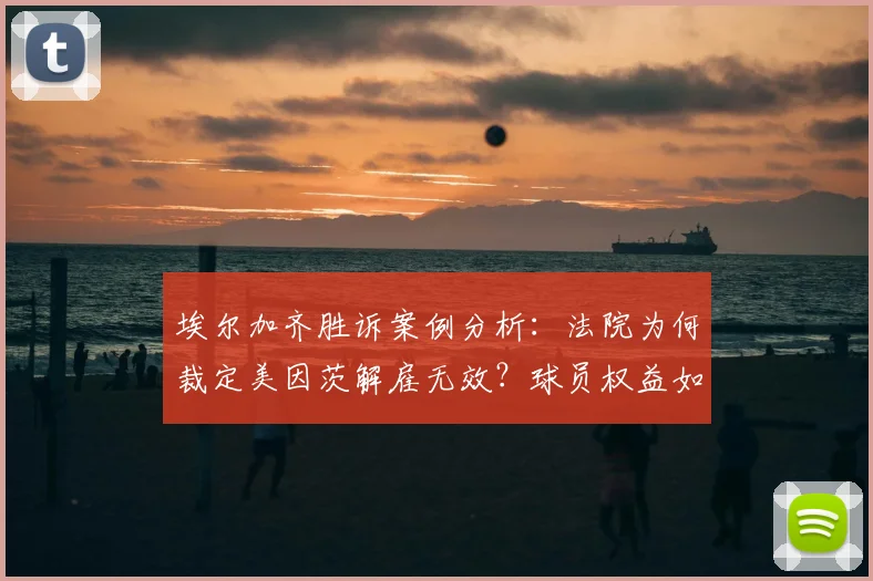 埃尔加齐胜诉案例分析：法院为何裁定美因茨解雇无效？球员权益如何保障