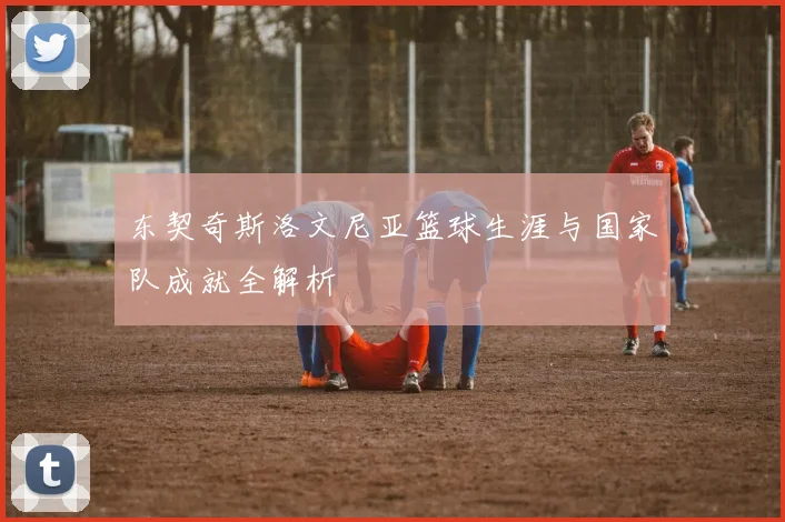 东契奇斯洛文尼亚篮球生涯与国家队成就全解析