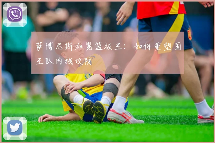 萨博尼斯加冕篮板王：如何重塑国王队内线攻防
