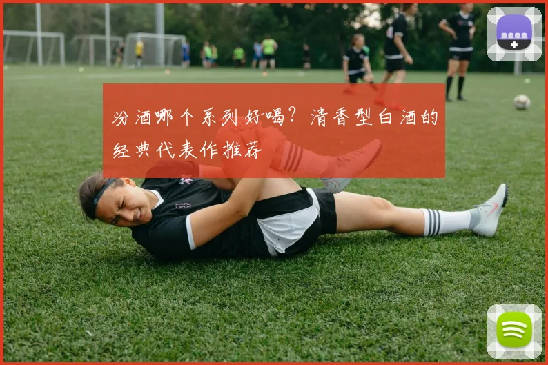 汾酒哪个系列好喝？清香型白酒的经典代表作推荐