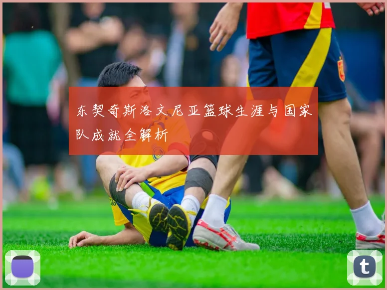 东契奇斯洛文尼亚篮球生涯与国家队成就全解析