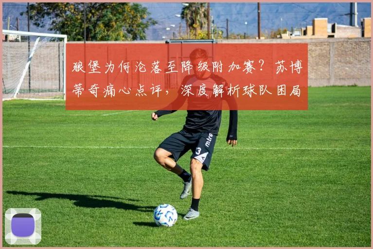 狼堡为何沦落至降级附加赛?苏博蒂奇痛心点评,深度解析球队困局