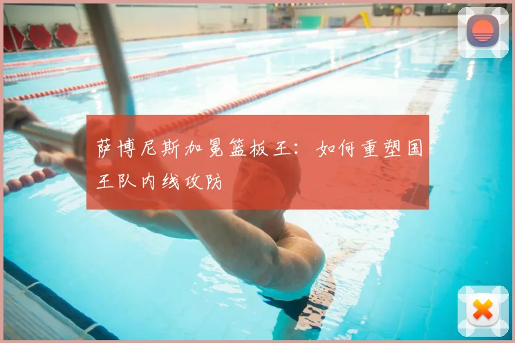 萨博尼斯加冕篮板王：如何重塑国王队内线攻防